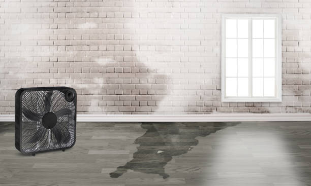 Best Water damage restoration process  in Sugarcreek, OH