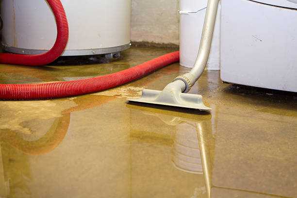 Best Sewage cleanup and water damage restoration  in Sugarcreek, OH